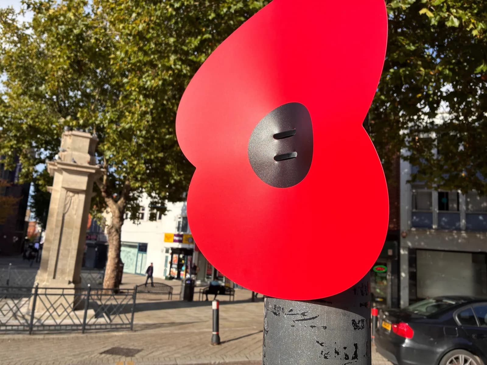 some poppies are already on display across the Borough