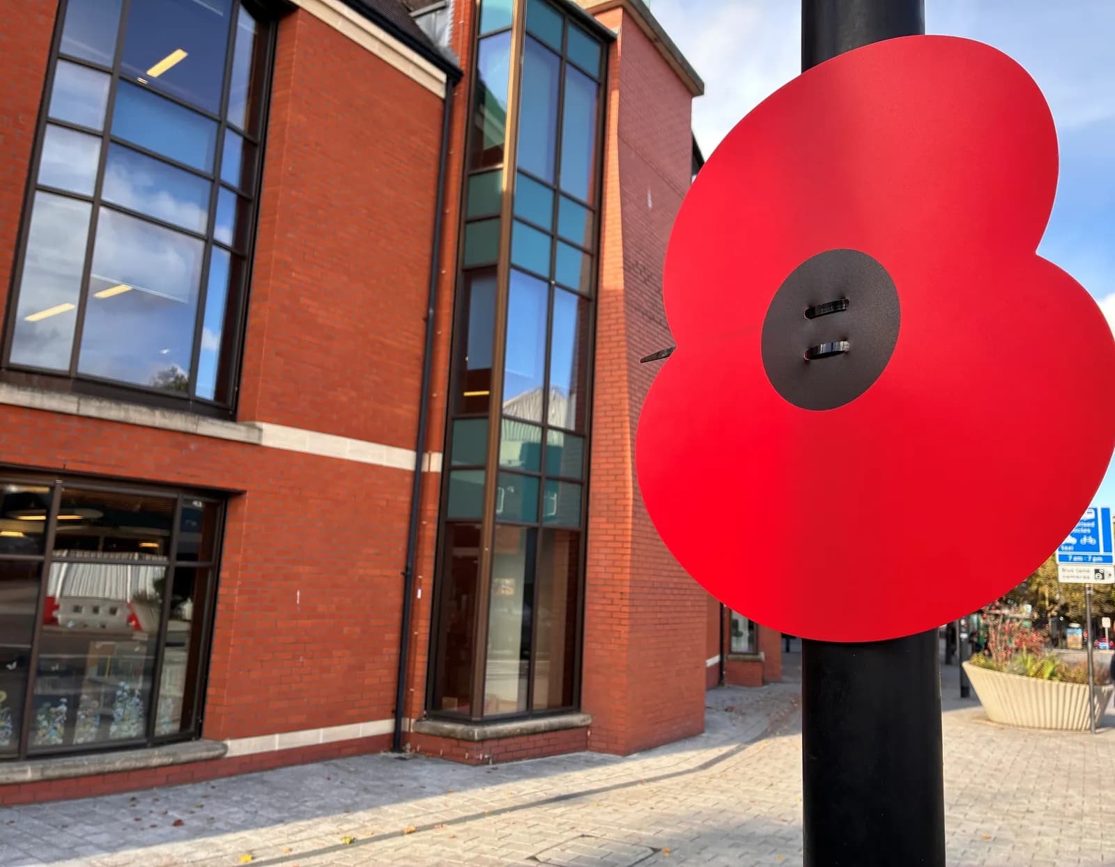 some poppies are already on display across the Borough